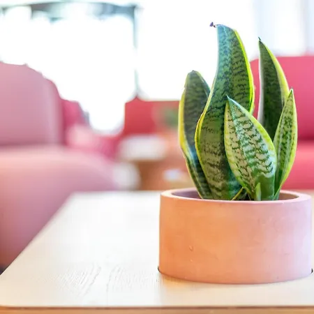 Nido Malvarrosa Hotel